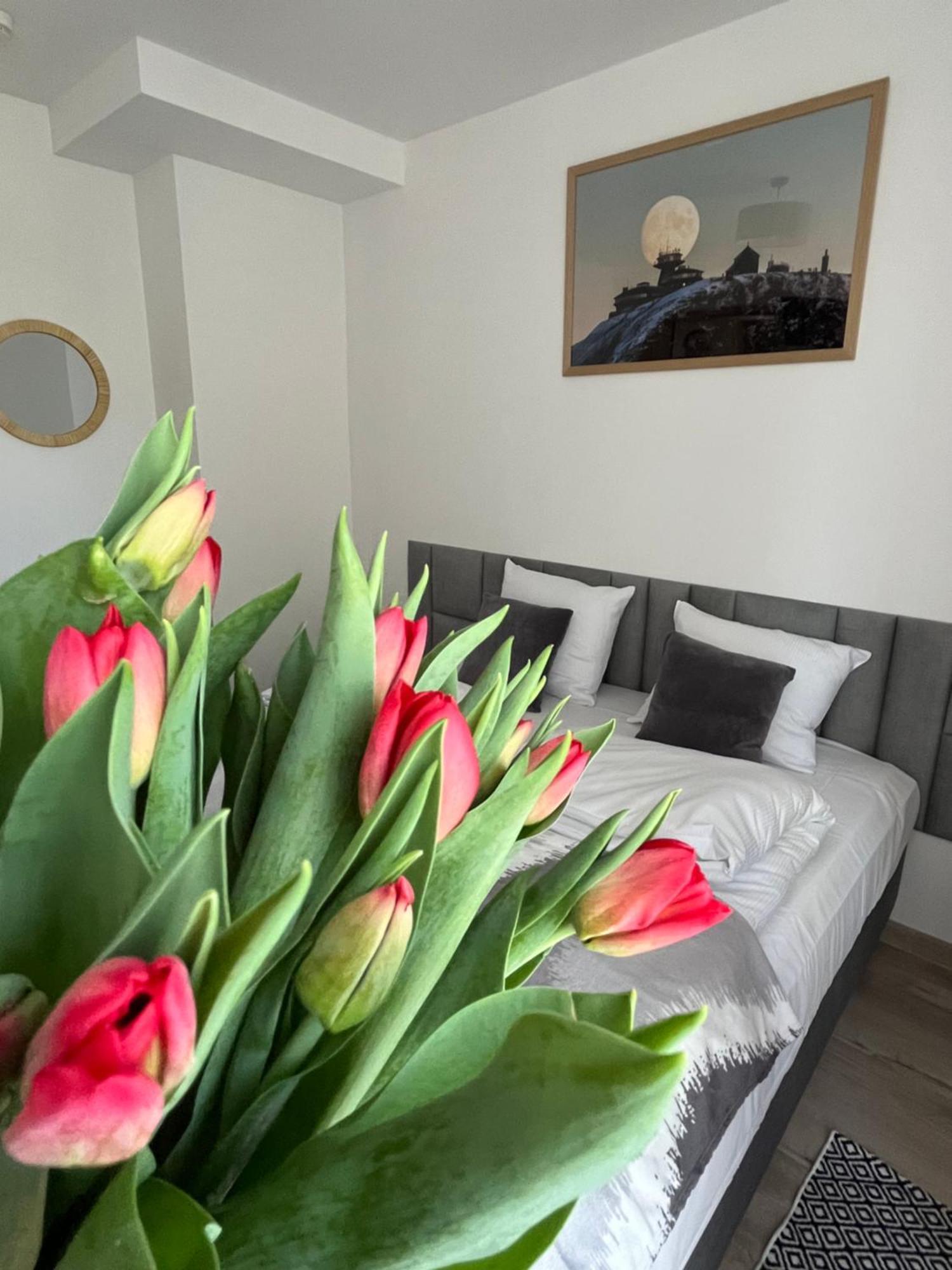 Karkonoskie Widoki Apartamenty Karpacz Εξωτερικό φωτογραφία