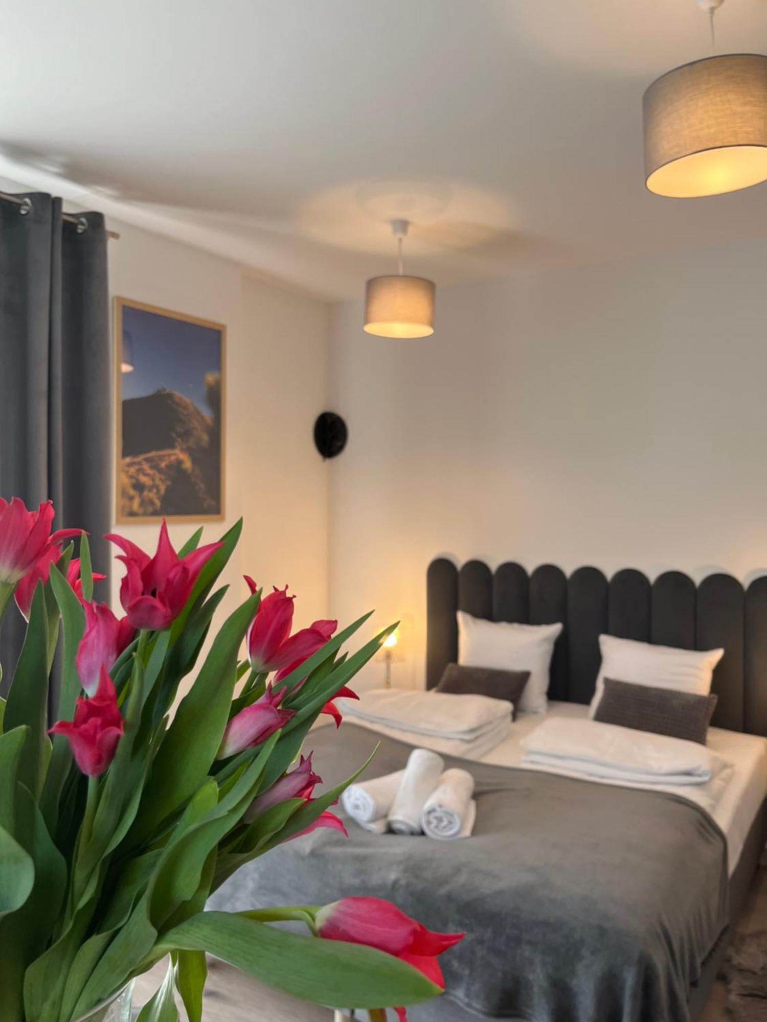 Karkonoskie Widoki Apartamenty Karpacz Εξωτερικό φωτογραφία