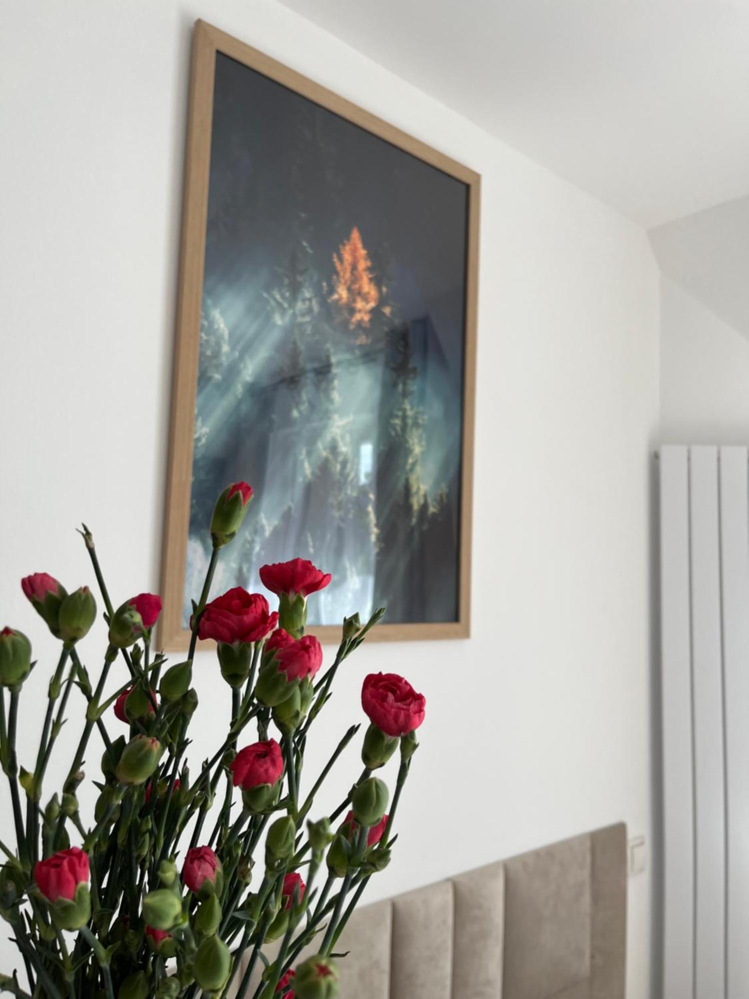 Karkonoskie Widoki Apartamenty Karpacz Εξωτερικό φωτογραφία