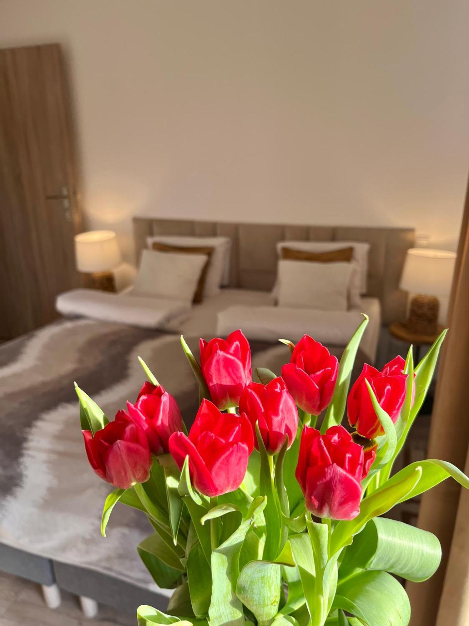 Karkonoskie Widoki Apartamenty Karpacz Εξωτερικό φωτογραφία